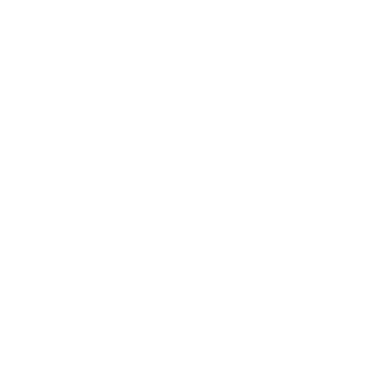 אייקון אסלה